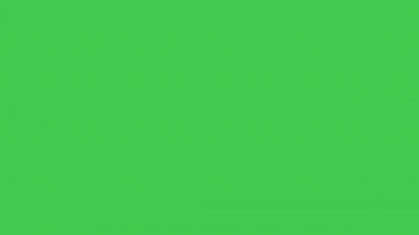 Simge gibi hareketli. Şeffaf arkaplan videosu.