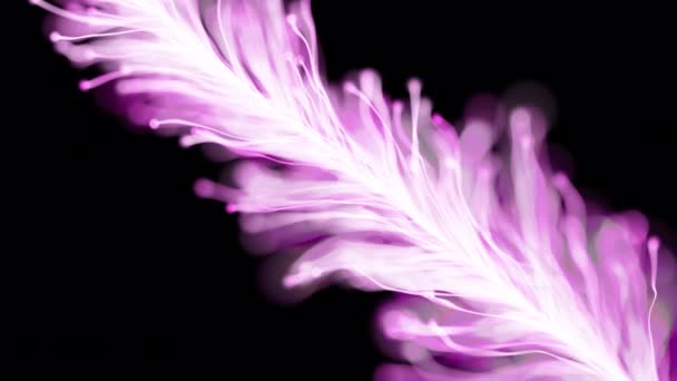 Abstract Neutral Background Purple Branch Video Footage — Stock Video