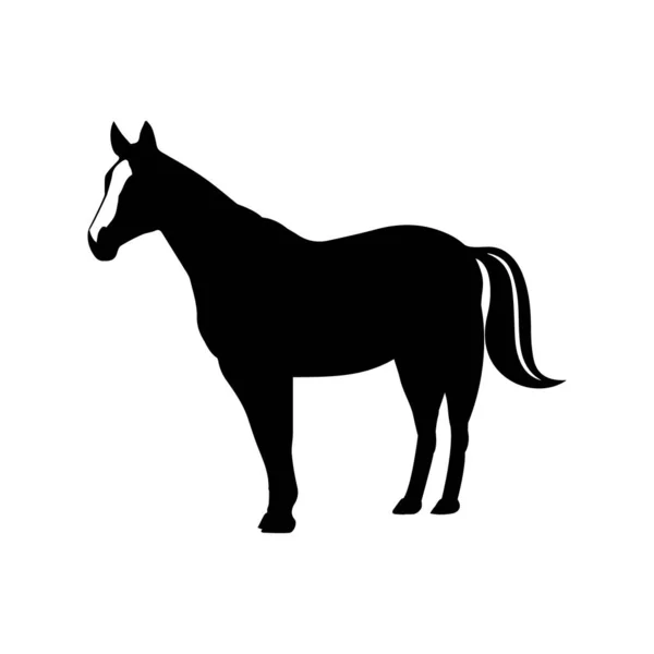 Horse Silhouette Isolated White Background Horse Standing — Stock Vector