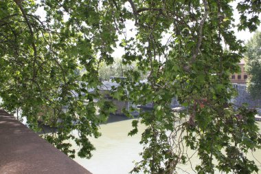 Güneşli bir günde, Tiber Nehri 'nin setten görünüşü, İtalya