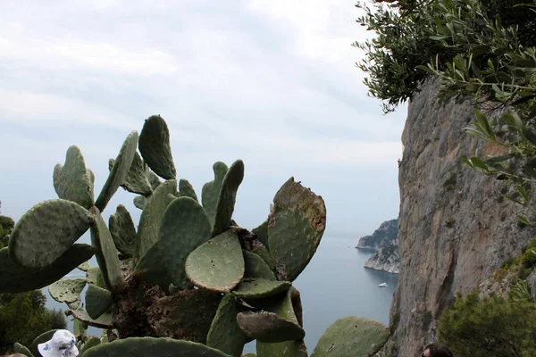 Capri adasından güzel deniz manzarası. İtalya