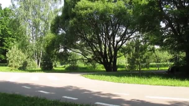 Nsanlar Baharda Güneşli Havada Parkta Spor Yaparlar Paten Bisiklet Kaykay — Stok video