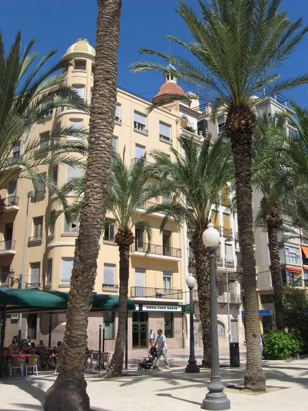 beautiful street with palm trees in Alicante. Spain