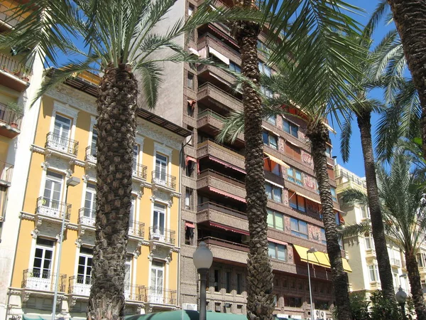 beautiful street with palm trees in Alicante. Spain