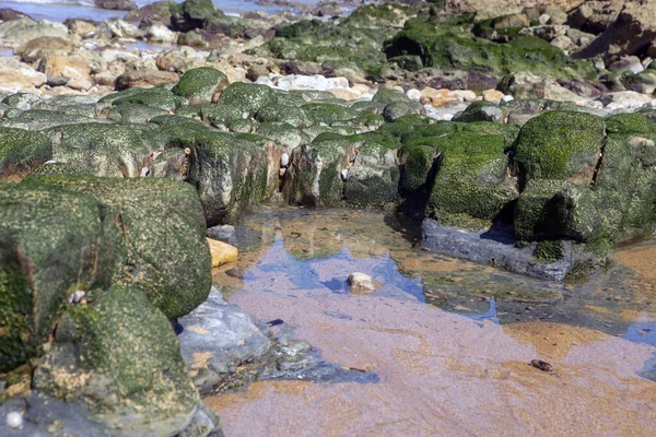 Cantabria İspanya 'da dalgaların çekildiği yerde kaya havuzu var.