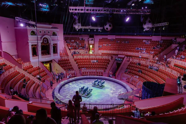 Saint Petersburg Rusya 08-18 2019 St Petersburg Bolşoy Devlet Sirki