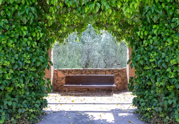 後ろに誰もがロマンチックで穏やかな雰囲気を与えずに木製のベンチであることをツタ ヘデラヘリックス マグノリオフィタ マグノリオプシダ によって作成されたアーチ — ストック写真