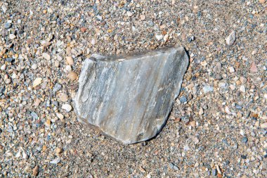 Yakın plan çekimde taşlı kumsal kumu, arka plan ya da doku için ideal..