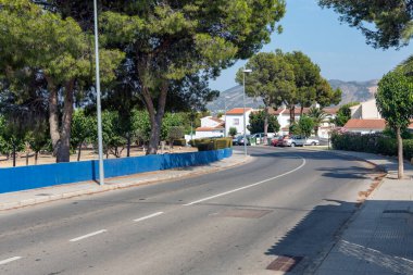 Güneşli bir günde şehirleşme yolunda çam ağaçları ve bahçeler.