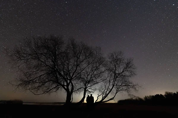 Büyük bir ağacın altında duran iki kişinin silueti ile yıldızlı gece gökyüzü 