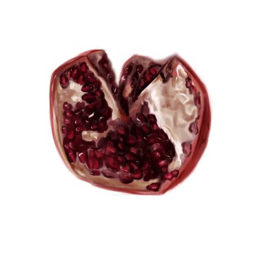 Garnet beyaz arka planda. Garnet 'in gerçekçi bir tasviri. Sağlıklı yiyecekler. Meyve kesimi.