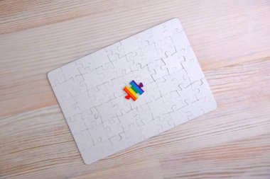 Kamu yapısındaki LGBT insanlarının yeri: beyaz mozaiğe karşı gökkuşağı bayrağının rengiyle bulmaca