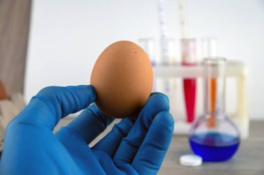 Laboratuvar asistanının elindeki yumurta, laboratuvar ekipmanlarının arka planına karşı analiz hazırlıklarıyla birlikte.