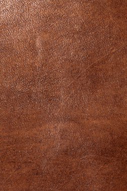 Deri grunge arka plan: eski bir parça sert deve derisi, sürtünme, benekler, yaralar
