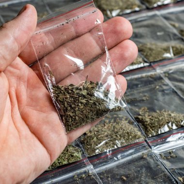 Suç delili, bir insanın elindeki kenevir paketiyle bir sürü paketlenmiş esrar paketi koyu bir surfac üzerinde yatıyor.