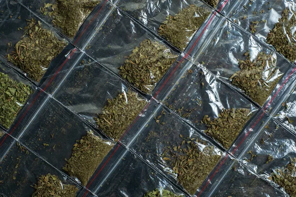 crime evidence: many packaged doses of cannabis lie in rows on a dark surface