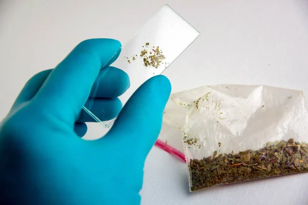 drug identification - analytical laboratory glass beads with plant contents in the hand of a technician on the background of a bag with spice