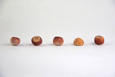 Konsept: çevrimiçi müşteriler için bir tuzak, bir taş fındık sırasının içinde yatıyor