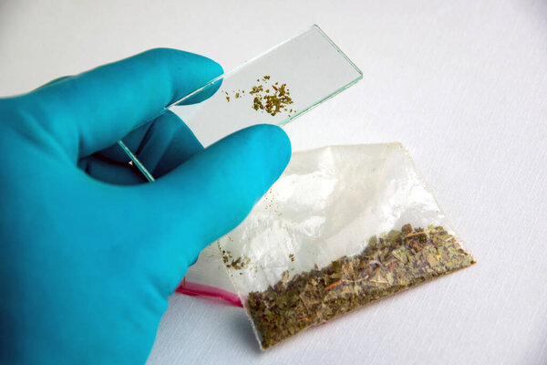 аналитическое лабораторное стекло с содержанием овощей в руках ассистентов