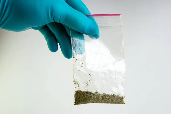 Sentetik marihuana: Laboratuvar teknisyeni elinde narkotik bitkisel ilaç örnekleri tutuyor.