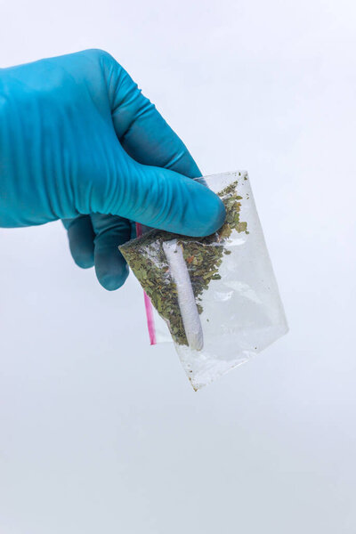 weed and ready-made narcotic cigarette in a bag in the hand of a police expert