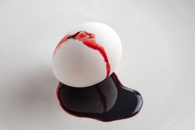 Hayvansal gıdanın reddedilmesi: Kırık beyaz bir yumurtadan kan akışı, kısa odaklanma