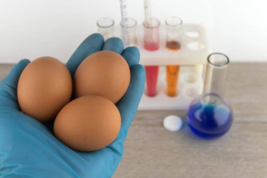 Laboratuvar malzemelerinin arkaplanına karşı laboratuvar asistanının elinde üç yumurta.