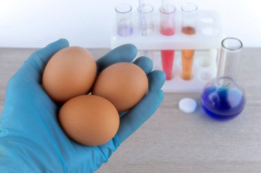 Laboratuvar malzemelerinin arkaplanına karşı laboratuvar asistanının elinde üç yumurta.