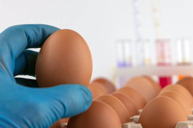 Bir bilim adamının elinde yumurta, bir tepsi yumurta ve kimyasallarla dolu test tüplerinin arka planında.