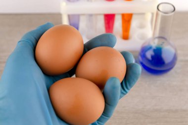 Laboratuvar malzemelerinin arkaplanına karşı laboratuvar asistanının elinde üç yumurta.