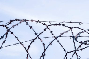 Mavi gökyüzüne karşı dikenli tel halkalar