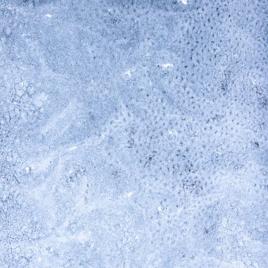 soyut arkaplan: donmuş cam, kısa odak, ton