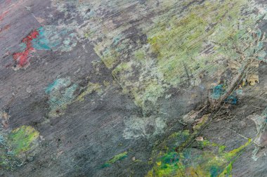 Renkli yaratıcı arkaplan: Ahşap bir palette yağlı boya kalıntıları, kısa odak, seçici bulanık