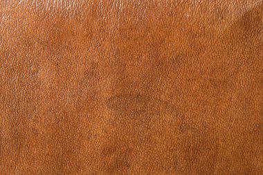 Deri grunge arka plan: eski bir parça sert deve derisi, sürtünme, benekler, yaralar