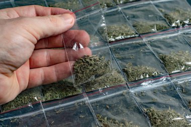 Suç delili bir paket içinde bir kişinin elinde bir sürü paketlenmiş esrar arka planında koyu bir surfac üzerinde yatıyor