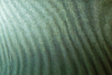 Odaklanmamış ince meş 'lerden soyut renkli bulanık dalgalı arkaplan