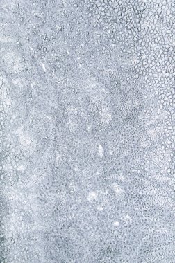 soyut arkaplan: donmuş cam, kısa odak, ton