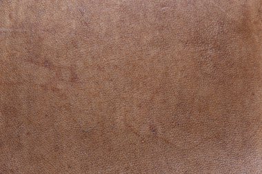 Deri grunge arka plan: eski bir parça sert deve derisi, sürtünme, benekler, yaralar