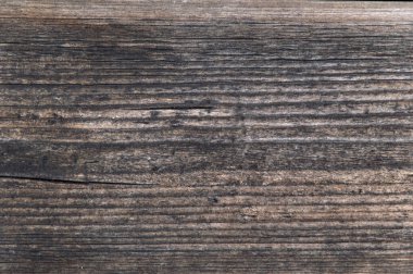 Grunge arkaplan: güneş yanığı, beyaz ahşap yüzey yakın, çatlaklar ve göçükler, tonlama 