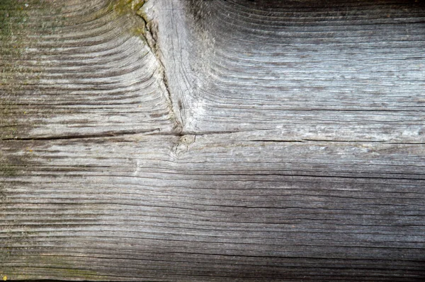 Fondo Grunge Superficie Madera Blanqueada Quemada Por Sol Cerca Grietas — Foto de Stock