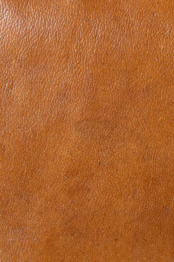 Deri grunge arka plan: eski bir parça sert deve derisi, sürtünme, benekler, yaralar