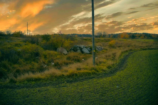 Stockholm Ekero - Aerial view of a autumn field 20-09-01 — Stock Photo, Image