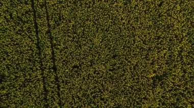 Stockholm Ekero - 20-09-01 sonbahar sahasının havadan görünüşü