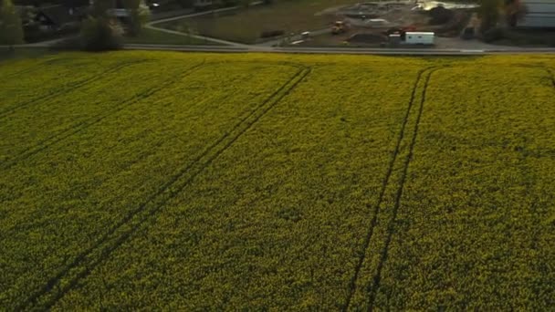 Estocolmo Ekero - Vista aérea de un campo de otoño 20-09-01 — Vídeos de Stock