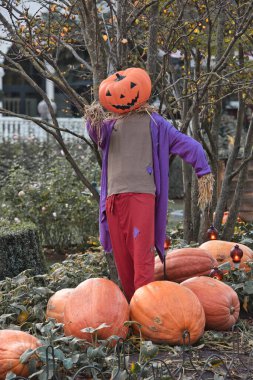 011120 - Danimarka, Kopenhag 'daki Tivoli' de Cadılar Bayramı dekorasyonu. Açık hava halk bahçesinde Cadılar Bayramı dekorasyon teması.