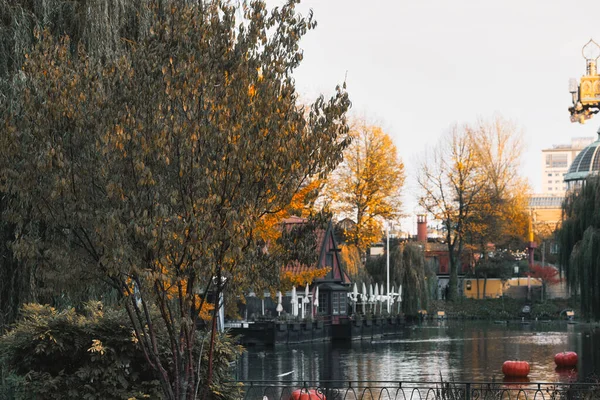 011120 - Danimarka, Kopenhag 'daki Tivoli' de Cadılar Bayramı dekorasyonu. Açık hava halk bahçesinde Cadılar Bayramı dekorasyon teması. — Stok fotoğraf