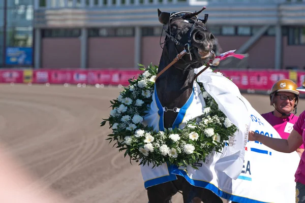 210530 Solvalla - Il cavallo vincitore di Elitloppet Propulsion e il pilota Orjan Kihlstrom vincono la finale dell'evento di trotto Elitloppet sulla pista di Solvalla a Stoccolma Svezia — Foto Stock