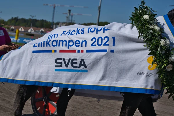 210530 Solvalla - Elitloppet Propulsion 'un kazanan atı ve şoför Orjan Kihlstrom Stockholm' deki Elitloppet trotting yarışının finalini kazandı.
