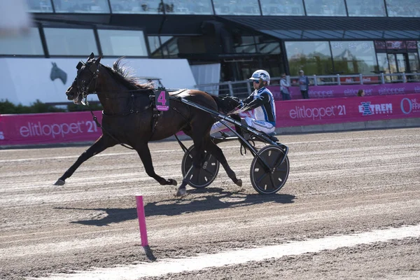 210530 Solvalla - Elitloppet Propulsion 'un kazanan atı ve şoför Orjan Kihlstrom Stockholm' deki Elitloppet trotting yarışının finalini kazandı..