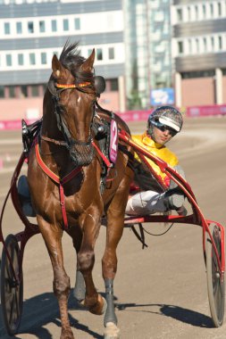 210530 Solvalla - Elitloppet GELATI CUT ve şoför Gabriele Gelormini Stockholm 'deki Solvalla pistinde koşu yarışı.